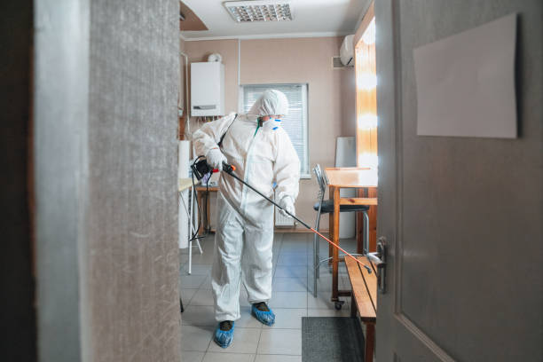  White Sulphur Springs, MT Mold Removal Pros